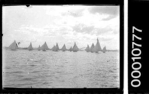 Yacht fleet  on the harbour with the Sydney Harbour Bridge in the background