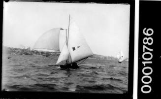 12-foot skiff racing on Sydney Harbour