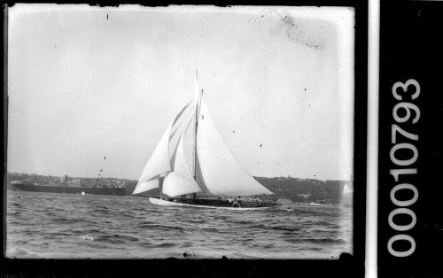 BONA sailing on Sydney Harbour with Taronga Zoo, Mosman on the skyline