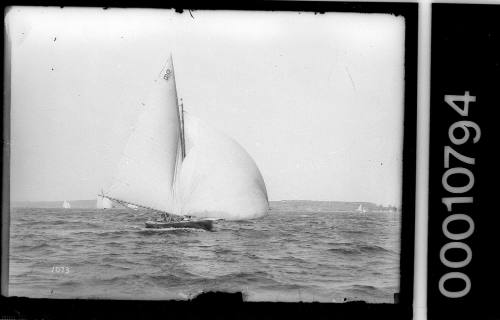 21-foot restricted class yacht NETTLE on Sydney Harbour