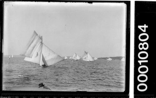 18-footer race on Sydney Harbour