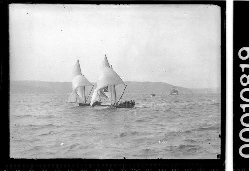 18-footer AVALON racing on Sydney Harbour