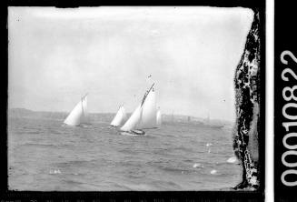 PRINCE class and SASC yachts under sail on Sydney Harbour