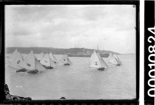 18-footers on Sydney Harbour