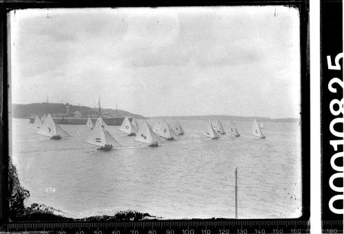 18-footers on Sydney Harbour