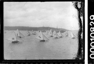 Championship race of 18-footers on Sydney Harbour