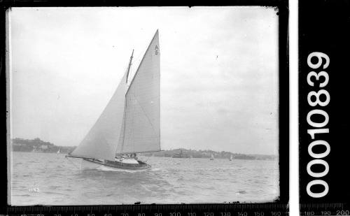 SASC yacht HOANA (A5), Sydney Harbour