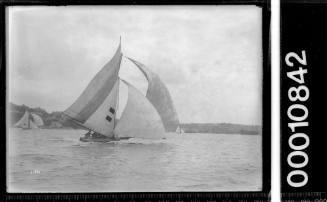 18-footer HC PRESS racing on Sydney Harbour