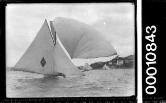 ARLINE, SCOT and CUTTY SARK racing on Sydney Harbour