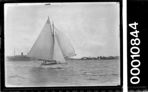 Sailing vessel on Sydney Harbour with the text 'A 12' displayed on the mainsail