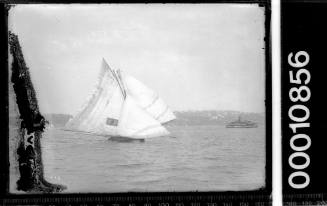 18-footer SCOT sailing on Sydney Harbour