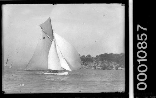 Sailing vessel with the number '19' on the mainsail sailing near shoreline, Sydney Harbour