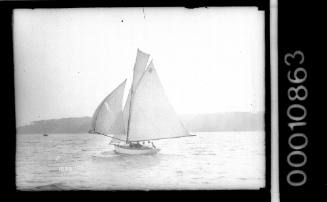 Sailing vessel with the number 32 on the mainsail, Sydney Harbour