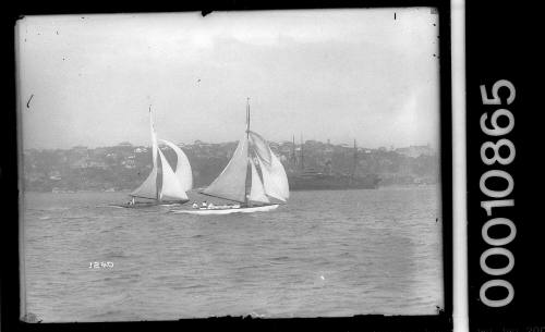 Sailing vessels on Sydney Harbour