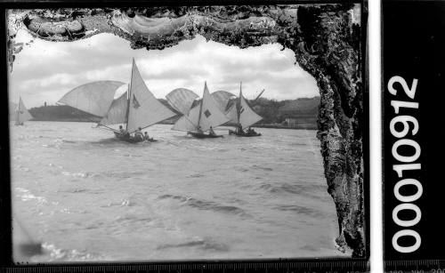 12-foot skiffs racing on Sydney Harbour