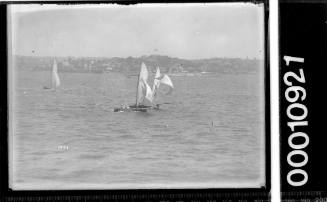 Two 16-foot skiffs sailing on Sydney Harbour