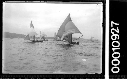 18-footers racing on Sydney Harbour