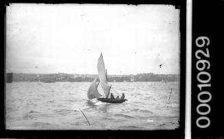 Small skiff  sailing on Sydney Harbour