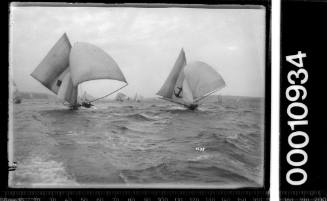 YENDYS racing on Sydney Harbour