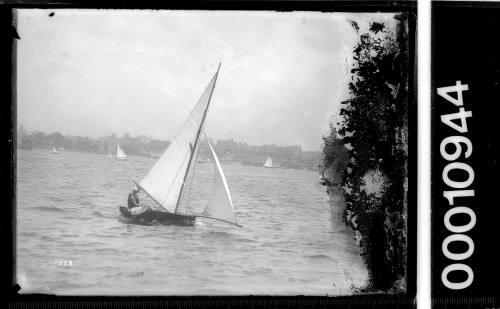 Small skiff sailing off Garden Island, Sydney Harbour