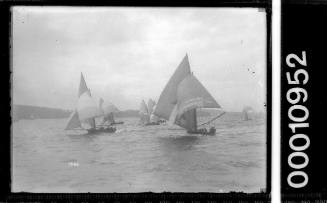 Fleet of skiffs racing on Sydney Harbour