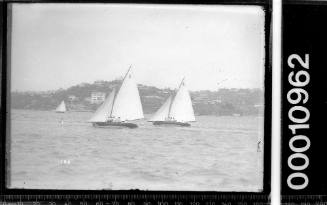 21-foot Restricted Class yachts EOJ (C2) and WATTLE (C9) sailing near shoreline on Sydney Harbour