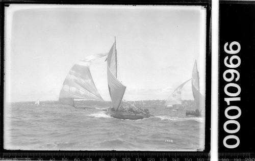 18-footers reaching on Sydney Harbour