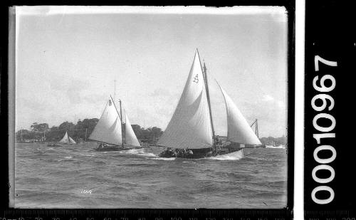 SASC yachts off Garden Island, Sydney Harbour