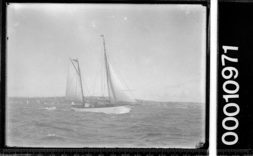 Ketch sailing under headsails and mizzen on Sydney Harbour