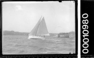 Prince Class yacht P4 sailing past Fort Denison, Sydney Harbour