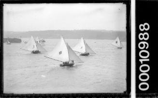 18-footers racing on Sydney Harbour