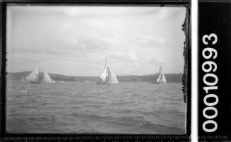 18-footers racing on Sydney Harbour