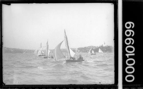 12-foot skiffs from Lane Cove club on Sydney Harbour