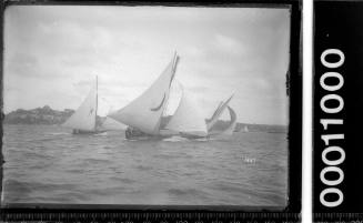 DESDEMONA and two other 18-footers racing on Sydney Harbour