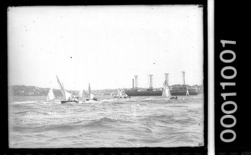 12-foot skiffs and Naval lighter MOMBAH on Sydney Harbour