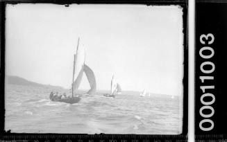 18-footers including PASTIME racing on Sydney Harbour