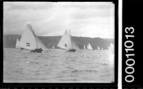 Fleet of 18-footers racing on Sydney Harbour