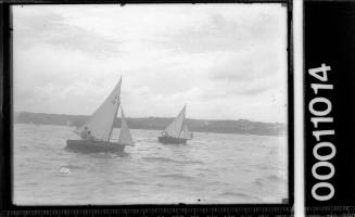 Two cadet dinghies sailing on Sydney Harbour