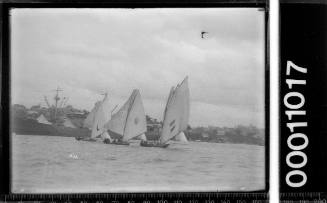 Three 18-footers racing on Sydney Harbour