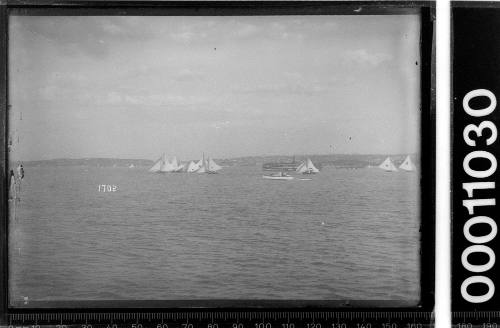 18-footers racing on Sydney Harbour