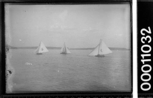 Three 18-footers racing on Sydney Harbour