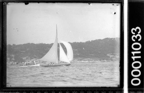 Yacht and motor launch near shoreline, Sydney Harbour