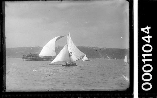 18-footer MASCOTTE and spectator ferry on Sydney Harbour