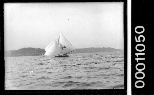 One of Tom Tait's 18-footers on Sydney Harbour