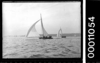 Two skiffs racing on Sydney Harbour