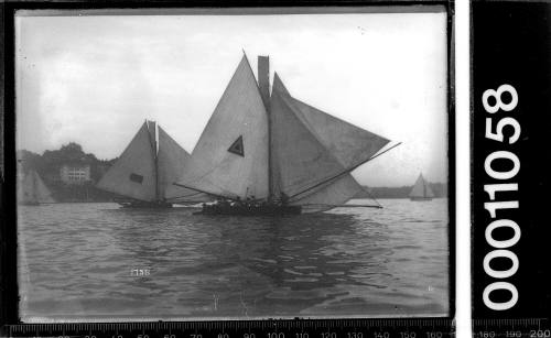 18-footers sailing near Point Piper, Sydney Harbour