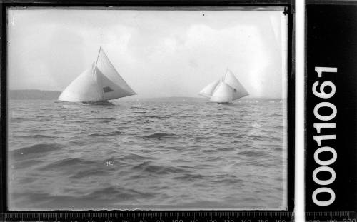 Two 18-footers racing on Sydney Harbour