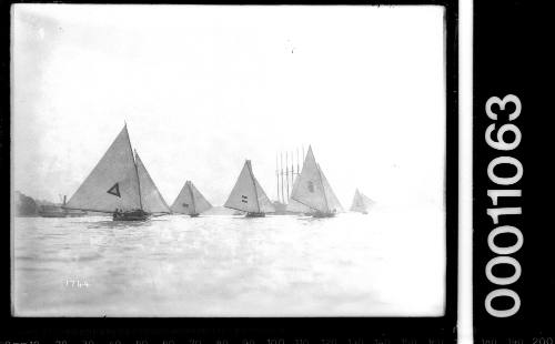 Fleet of 18-footers with the 6-masted schooner HELEN B STERLING in the background, on Sydney Harbour