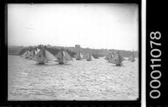 Large fleet of 18-footers racing on Sydney Harbour