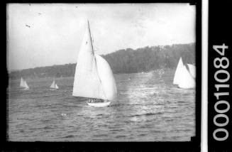 Bermudan-rigged yacht with the number '7' displayed on the mainsail, Pittwater